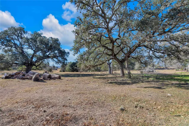 a view of dirt yard with a tree