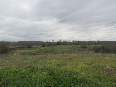 Fairview Church Road Smiths Grove, KY 42171 - Photo 10 of 34 Gallery Image 10