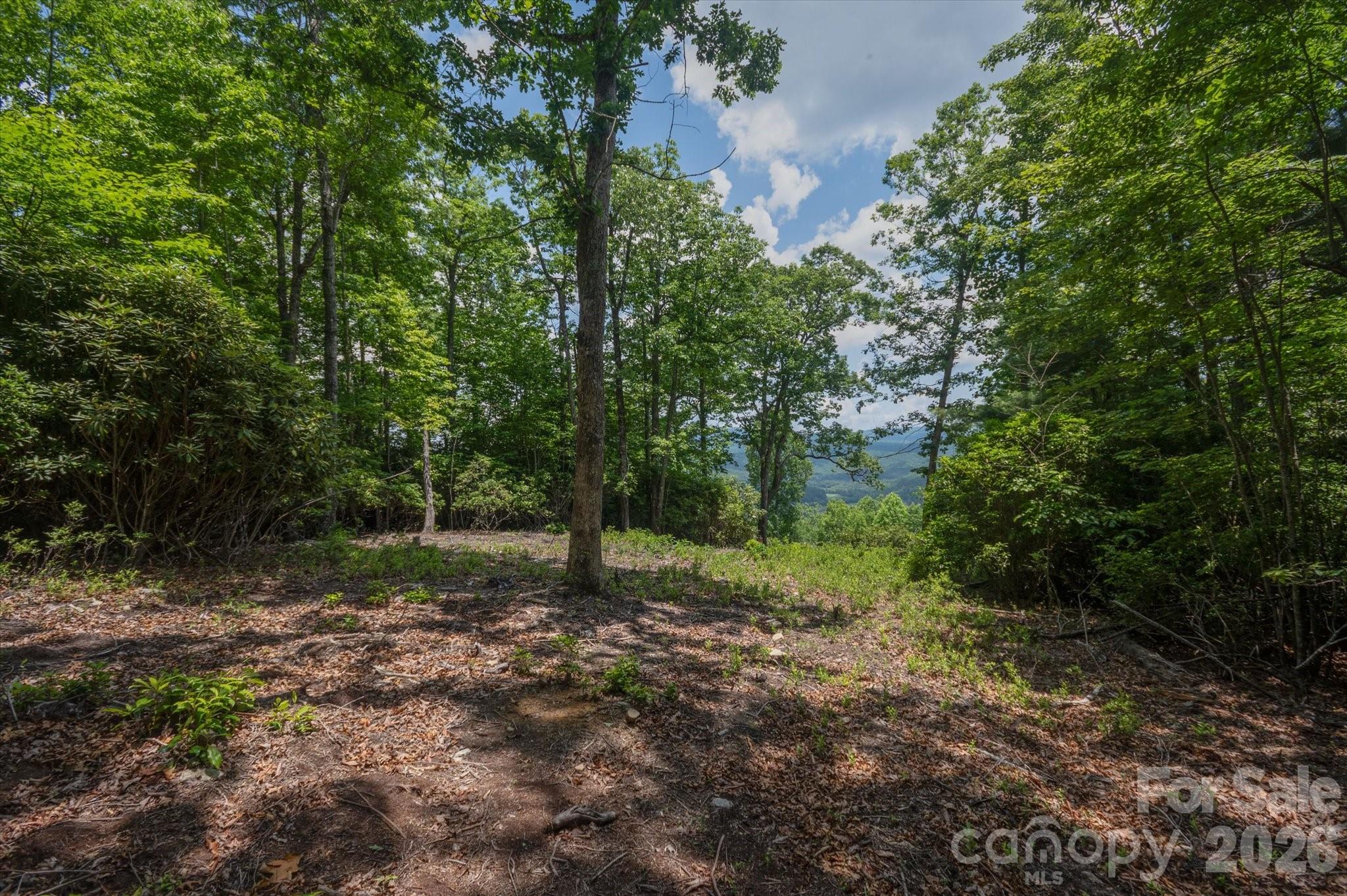 Tbd Reserve Road, Unit 16 Pisgah Forest, NC 28768 - Photo 1 of 18