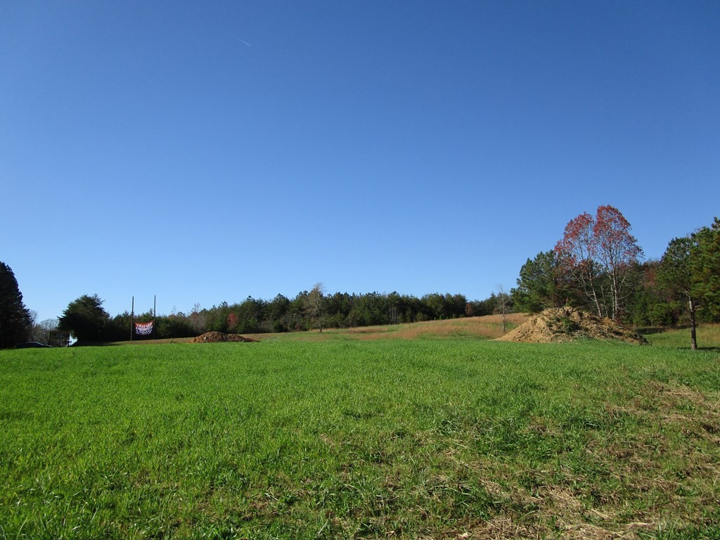 0 Hwy 163 Riceville Tn 37370 Riceville, TN 37370 - Photo 3 of 11