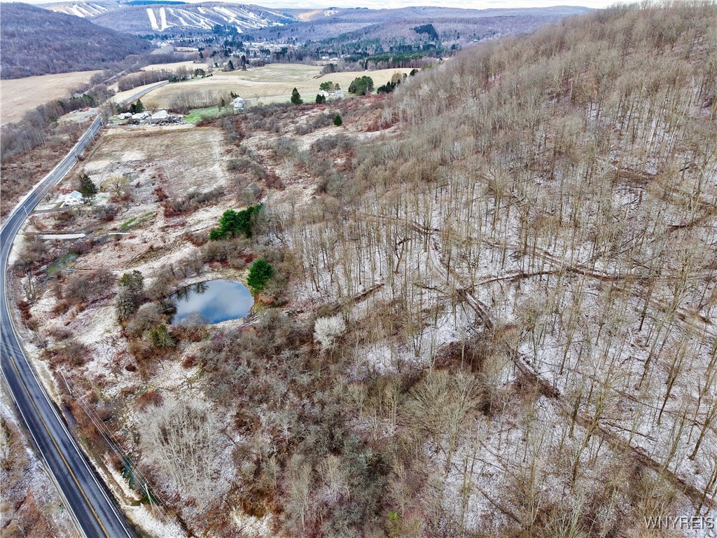 6096 Nys Route Ellicottville, NY 14731 - Photo 5 of 9