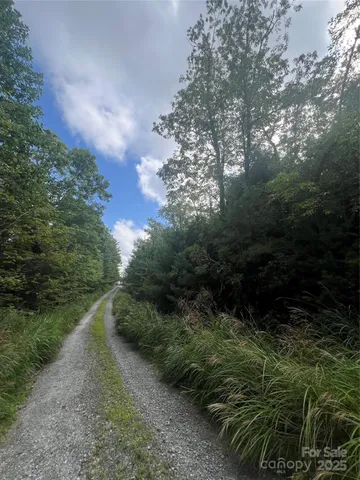 a view of outdoor space and garden