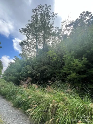 a view of a yard with plants