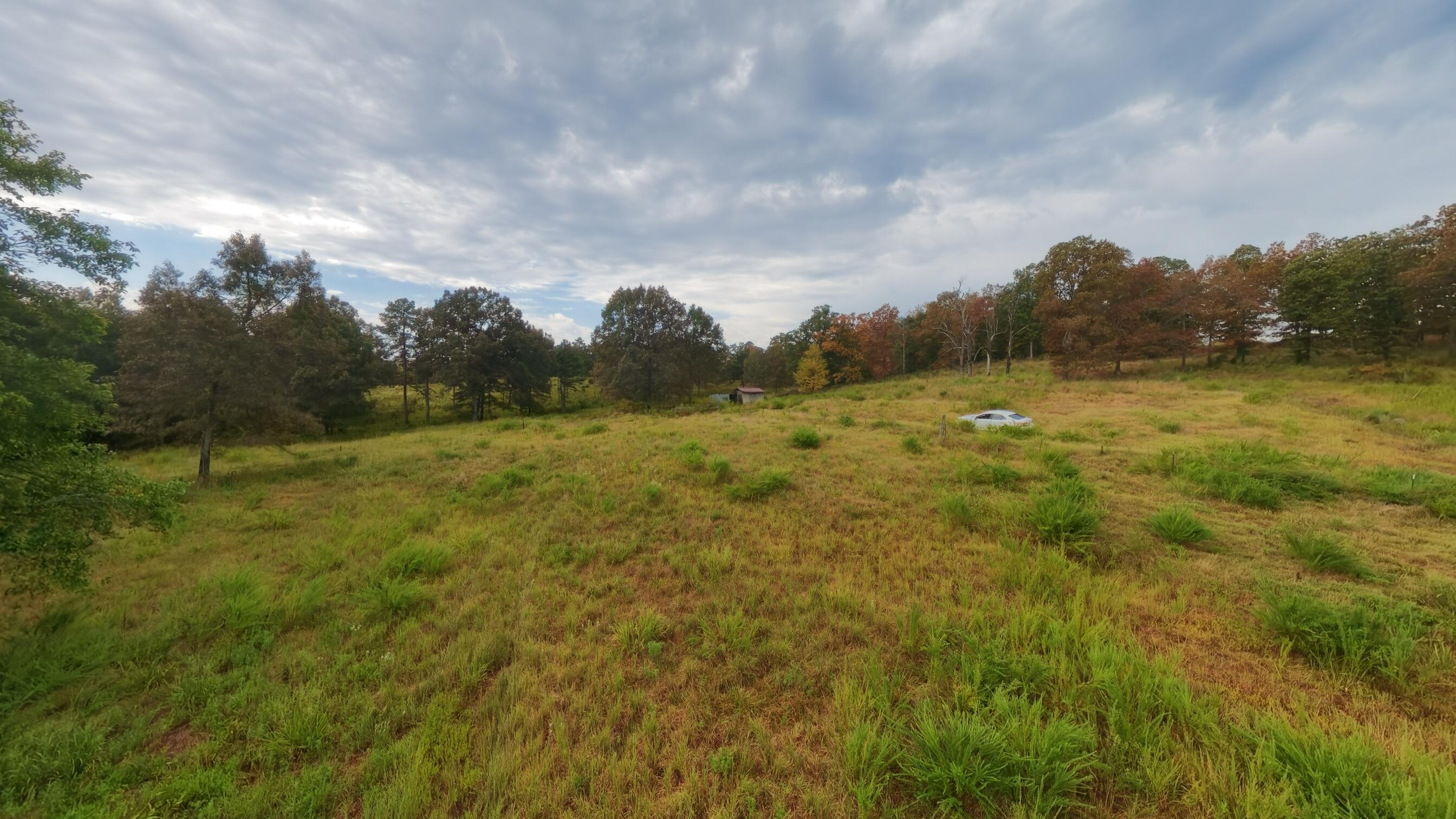 517 Sawmill Road Brockwell, AR 72517 - Photo 48 of 54 40 acres046