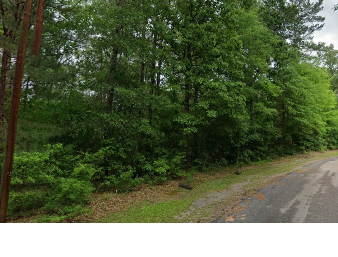 a black and white photo of a tree