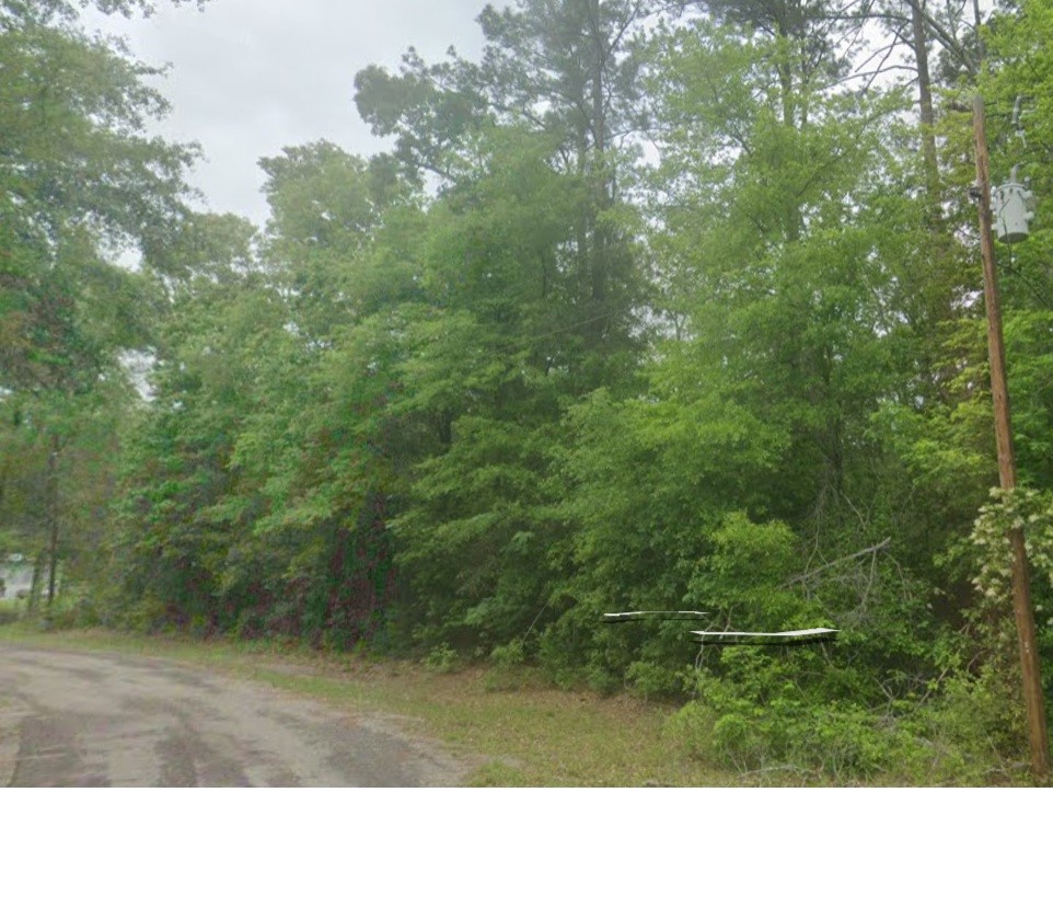 0 County Road 071 Jasper, TX 75951 - Photo 3 of 7 a black and white photo of a forest
