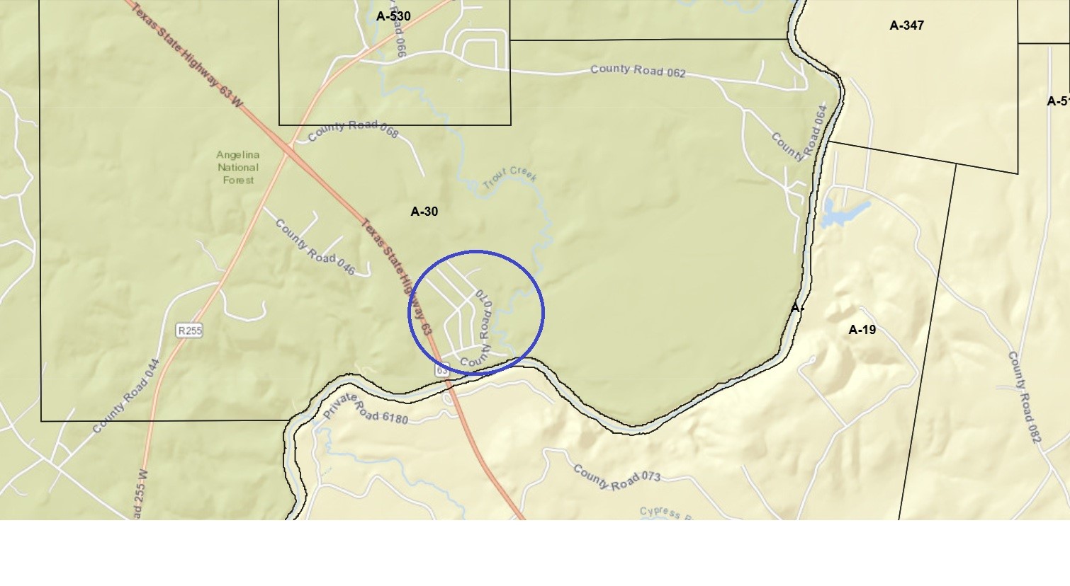 0 County Road 071 Jasper, TX 75951 - Photo 6 of 7 a picture of a floor plan