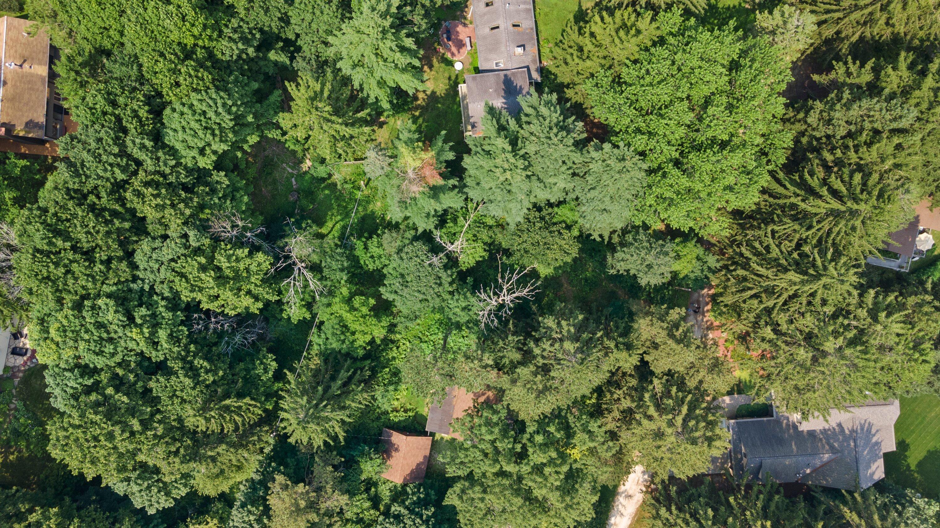 Lt9 Lower Forest Beach Road Port Washington, WI 53074 - Photo 8 of 15 Wooded lot