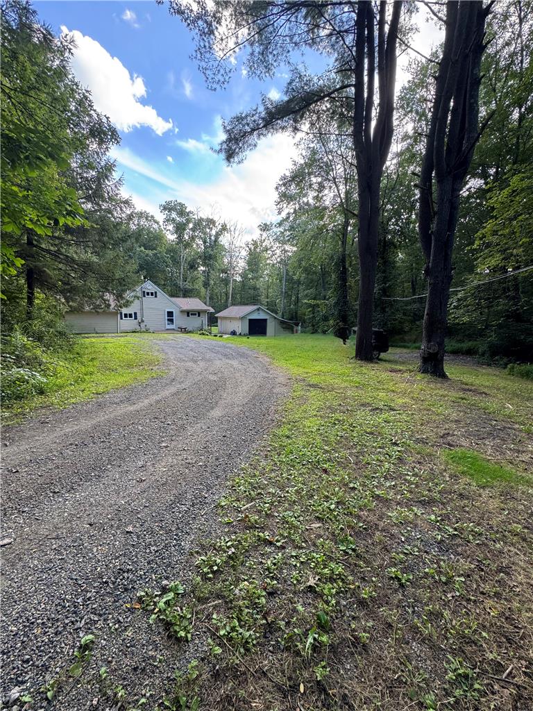 134 Bear Road Kunkletown, PA 18058 - Photo 10 of 42 Mature trees line the gravel driveway leading toward a detached garage on this wooded lot.