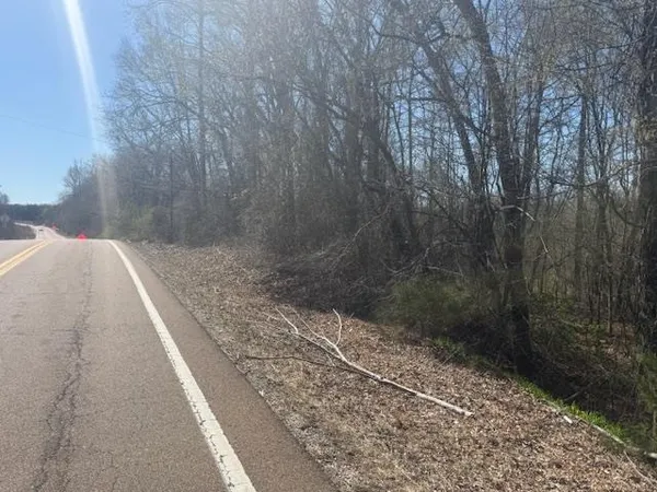 $46,000 | 7 Hwy 22a Highway, Jacks Creek, TN 38347
