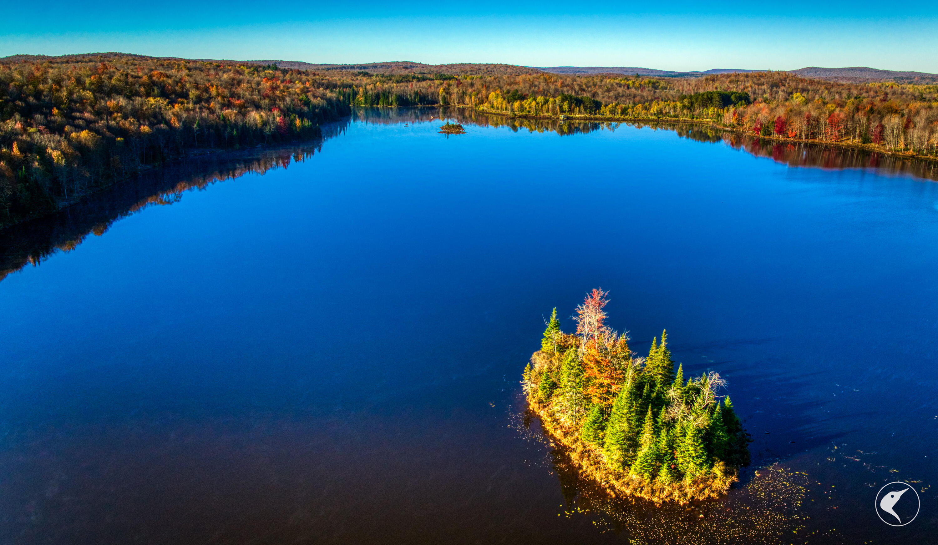 4891 State Rte 3 Newton Falls, NY 13666 - Photo 38 of 41 DJI_20241018092912_0146_D