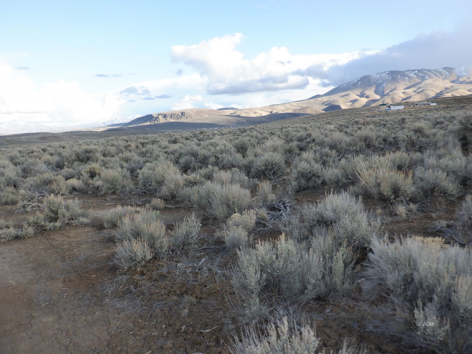 33-3 7th Street Elko, NV 89801 - Photo 11 of 15