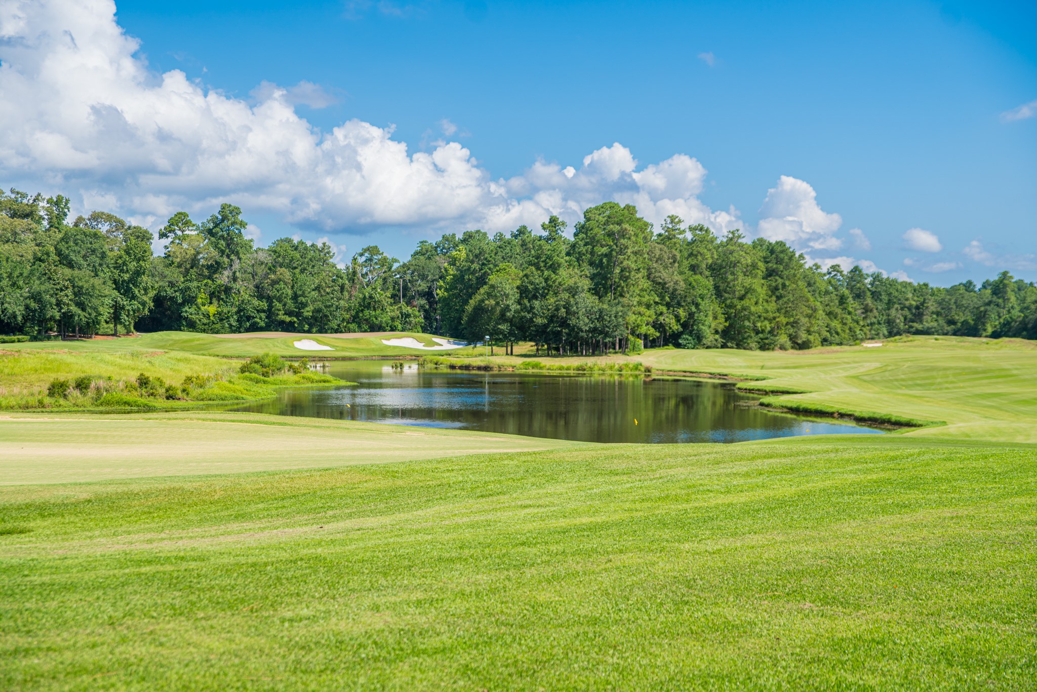 123 Mediterra Way Spring, TX 77389 - Photo 28 of 30 a view of a lake with a big yard