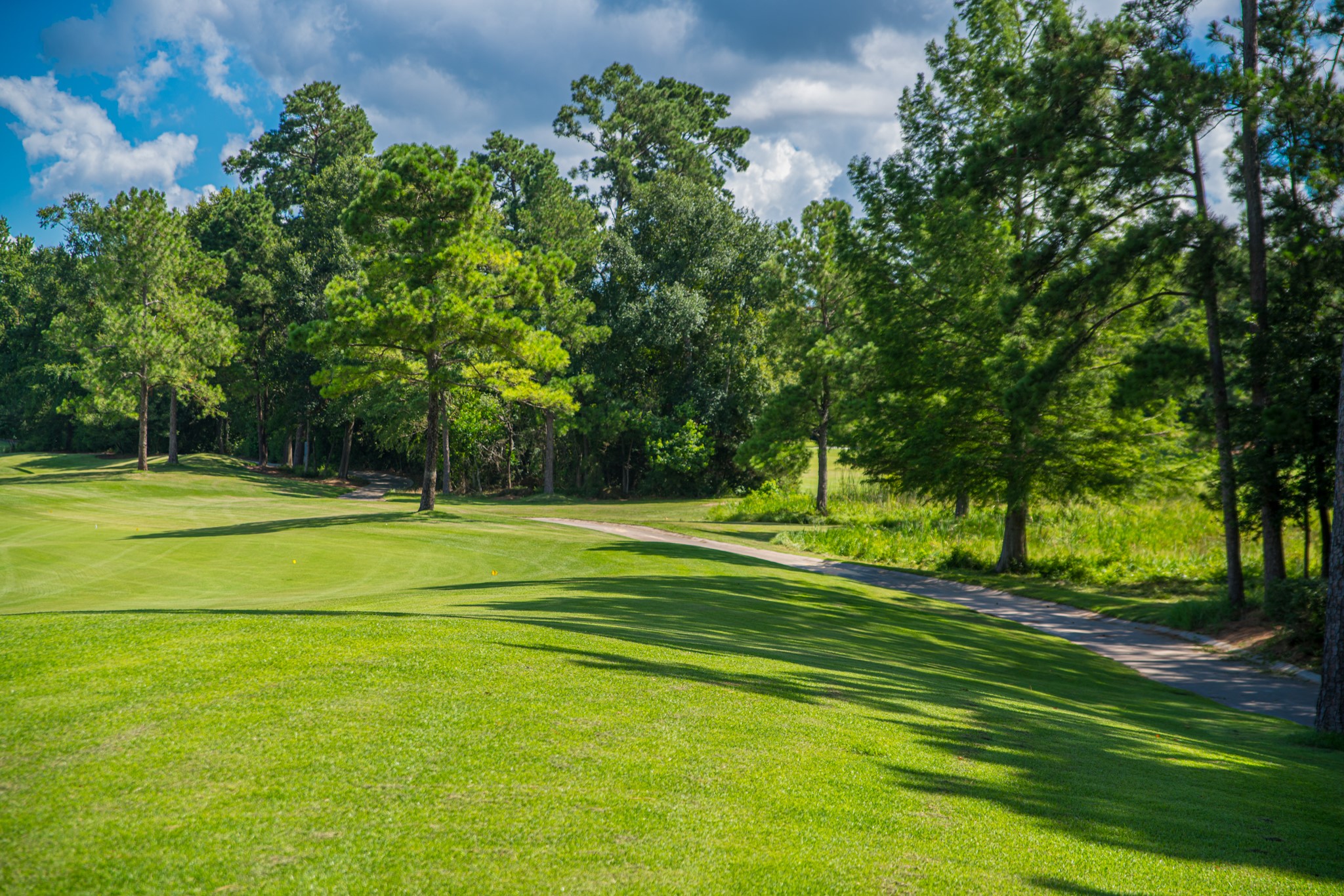 123 Mediterra Way Spring, TX 77389 - Photo 29 of 30 a view of a volley ball court