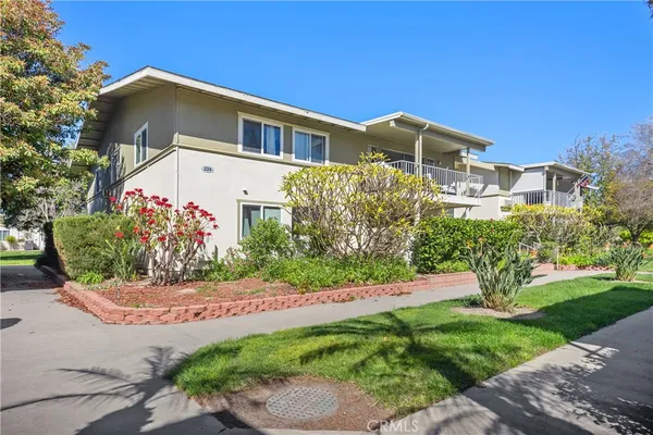a front view of a house with a yard and potted plants