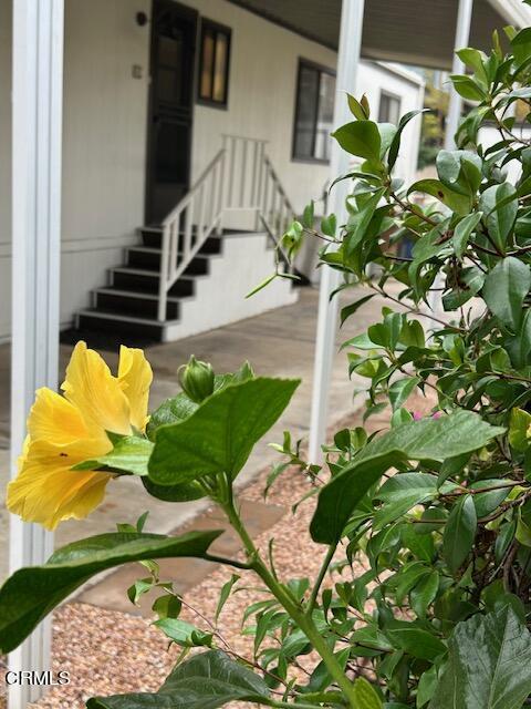 250 East Telegraph Road, Unit 306 Fillmore, CA 93015 - Photo 7 of 54 Carport-3