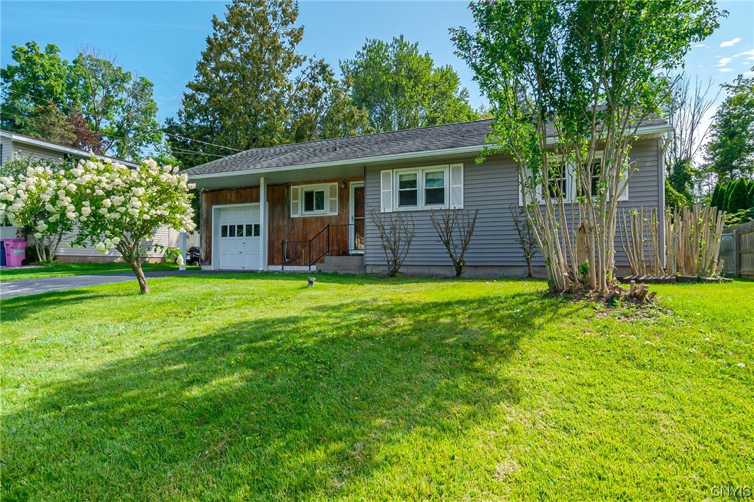 Welcome to 12 Gettman! !