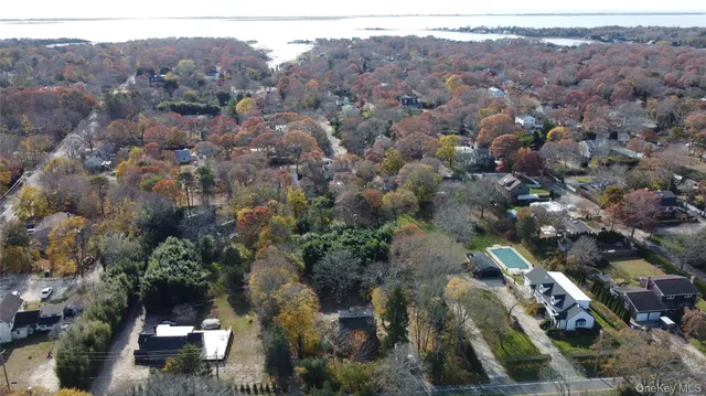 an aerial view of a town with trees