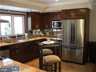 290 River Road Gladwyne, PA 19035 - Photo 8 of 10 Kitchen