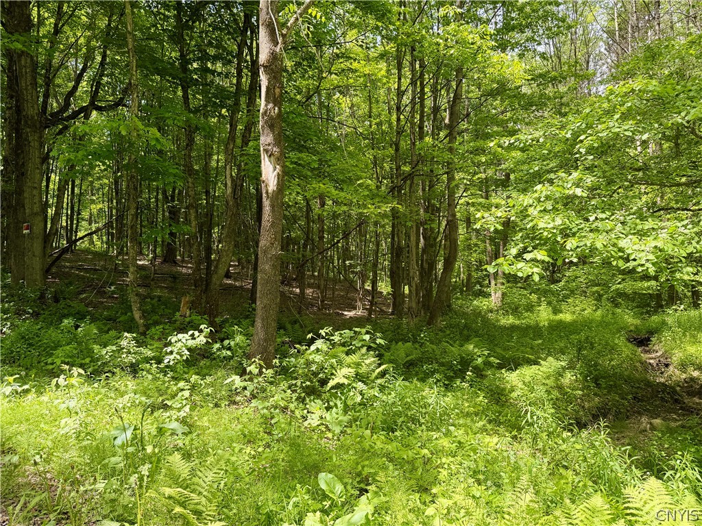 6229 Isenecker Road Leyden, NY 13309 - Photo 36 of 44