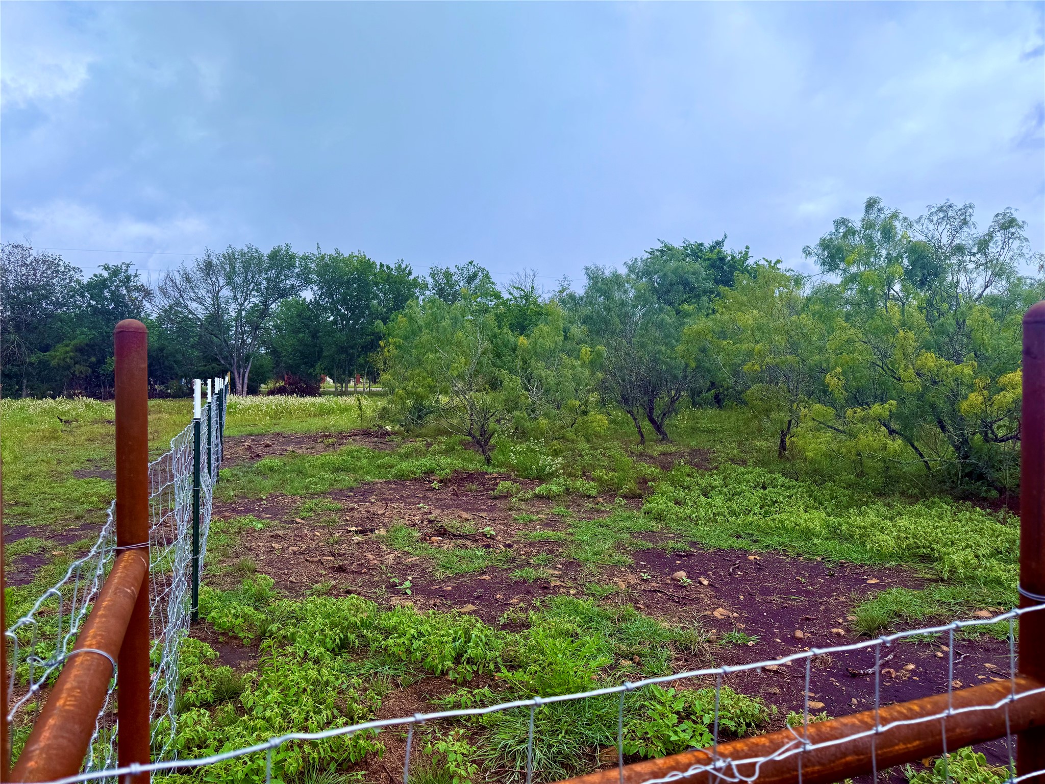 0 Engelke Road Kyle, TX 78640 - Photo 12 of 16 A partially cleared lot with natural vegetation offers a canvas for future development.