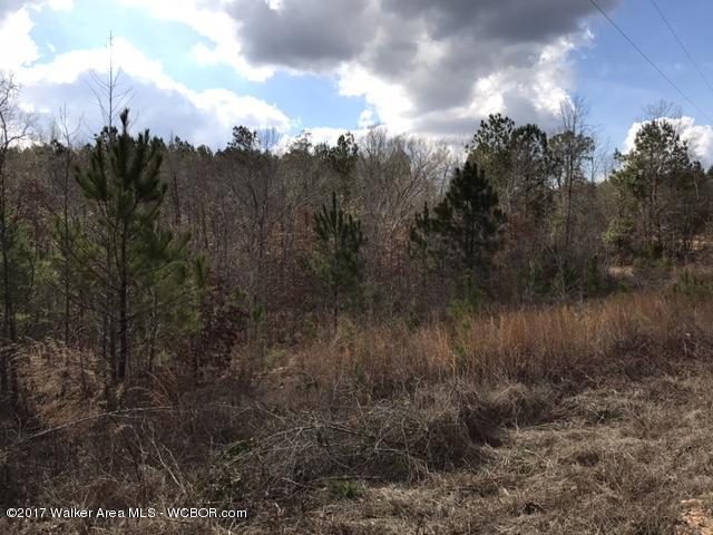 Freeman Road Fayette, AL 35555 - Photo 2 of 6 Gallery Image 2