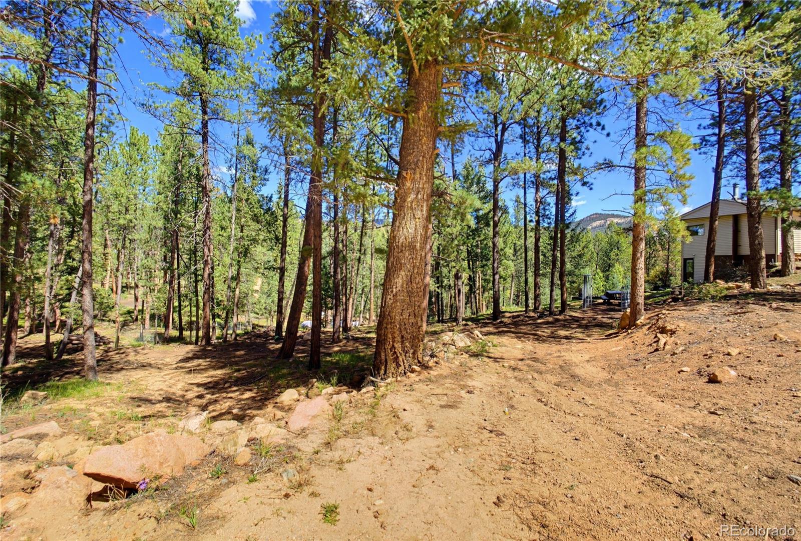 33511 Nova Road Pine, CO 80470 - Photo 48 of 50 Gallery Image 48