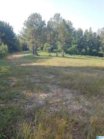 $519,000 | 8100 Mckesie Street, Unit 81 ACRES, Riverside, AL 35135