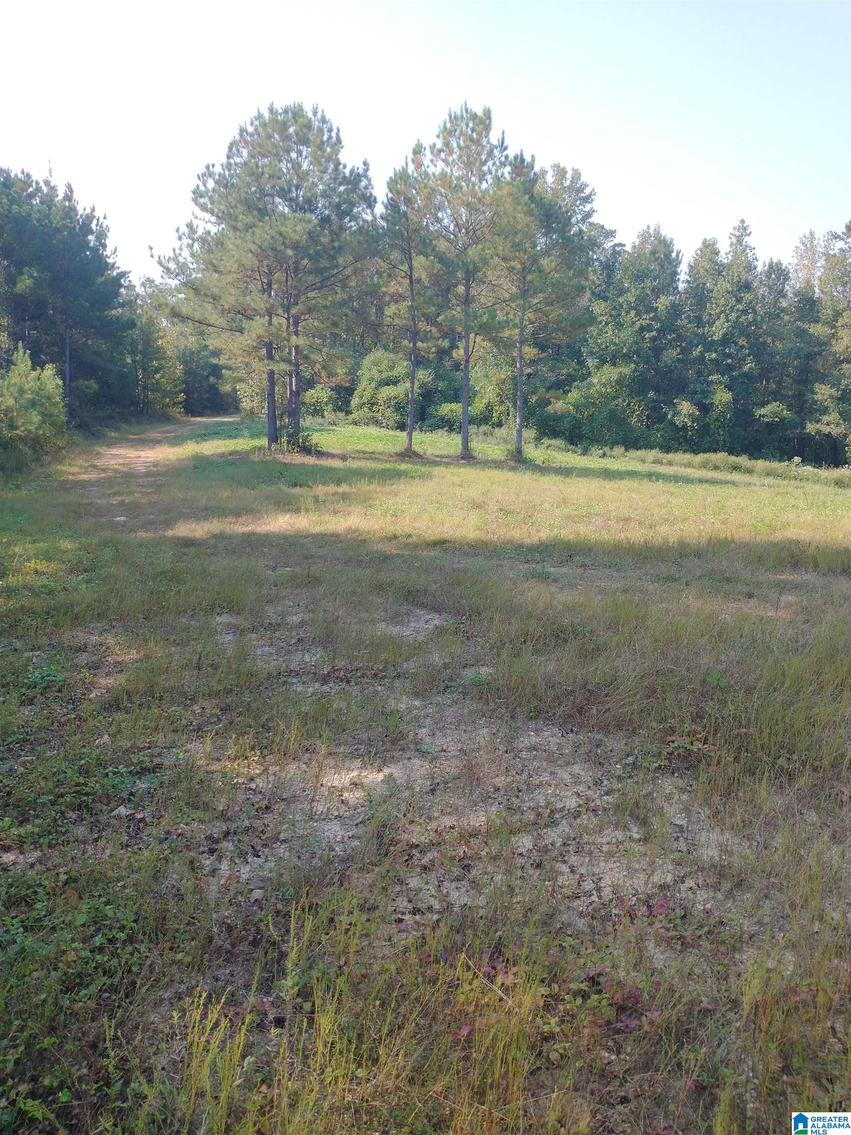 8100 Mckesie Street, Unit 81 ACRES Riverside, AL 35135 - Photo 1 of 18