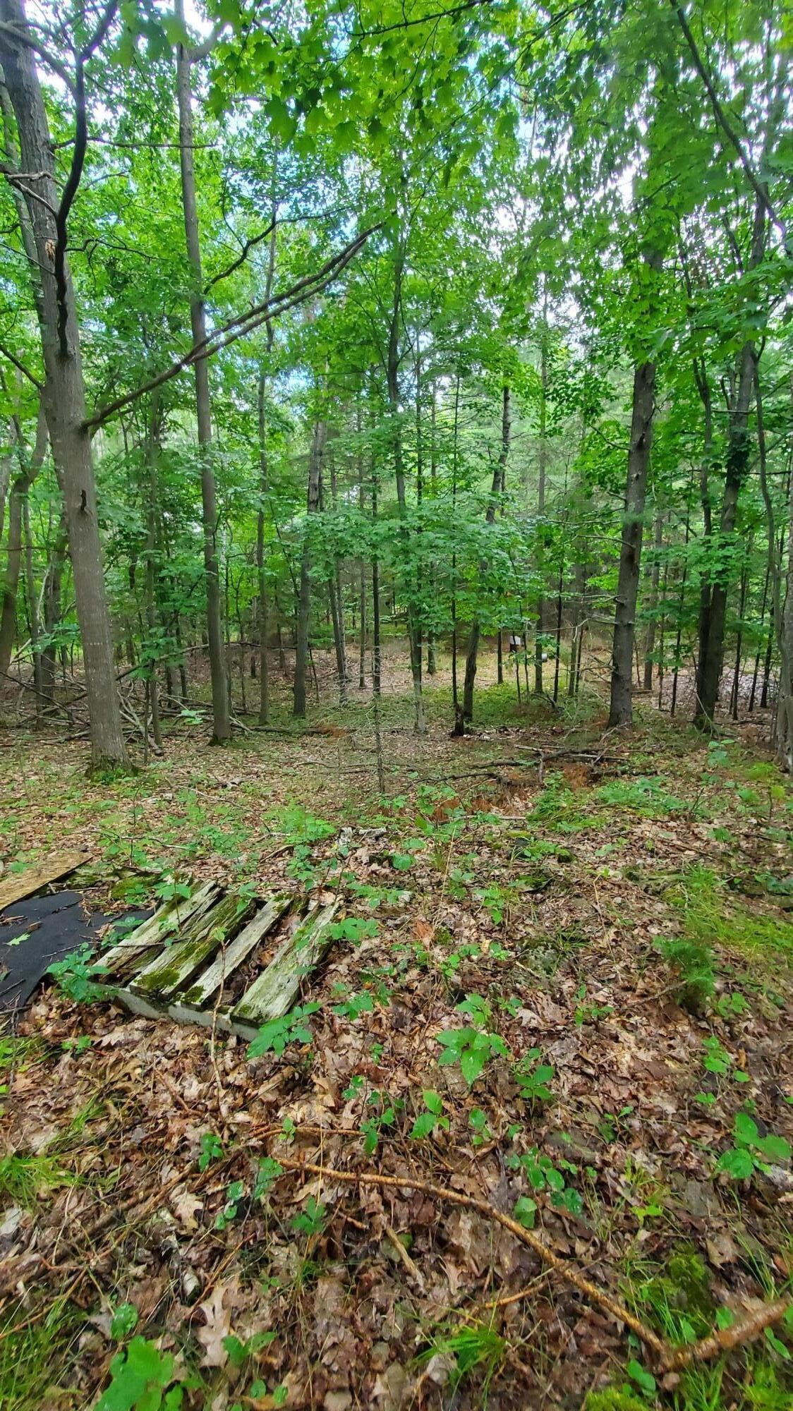 V/l 20-ac Monaghan Point Road Alpena, MI 49707 - Photo 22 of 30 20250824_123606