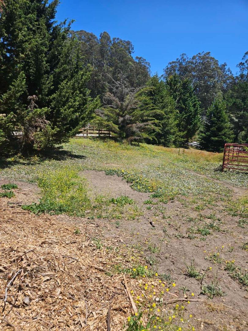 603 Carpenteria Road Aromas, CA 95004 - Photo 2 of 24