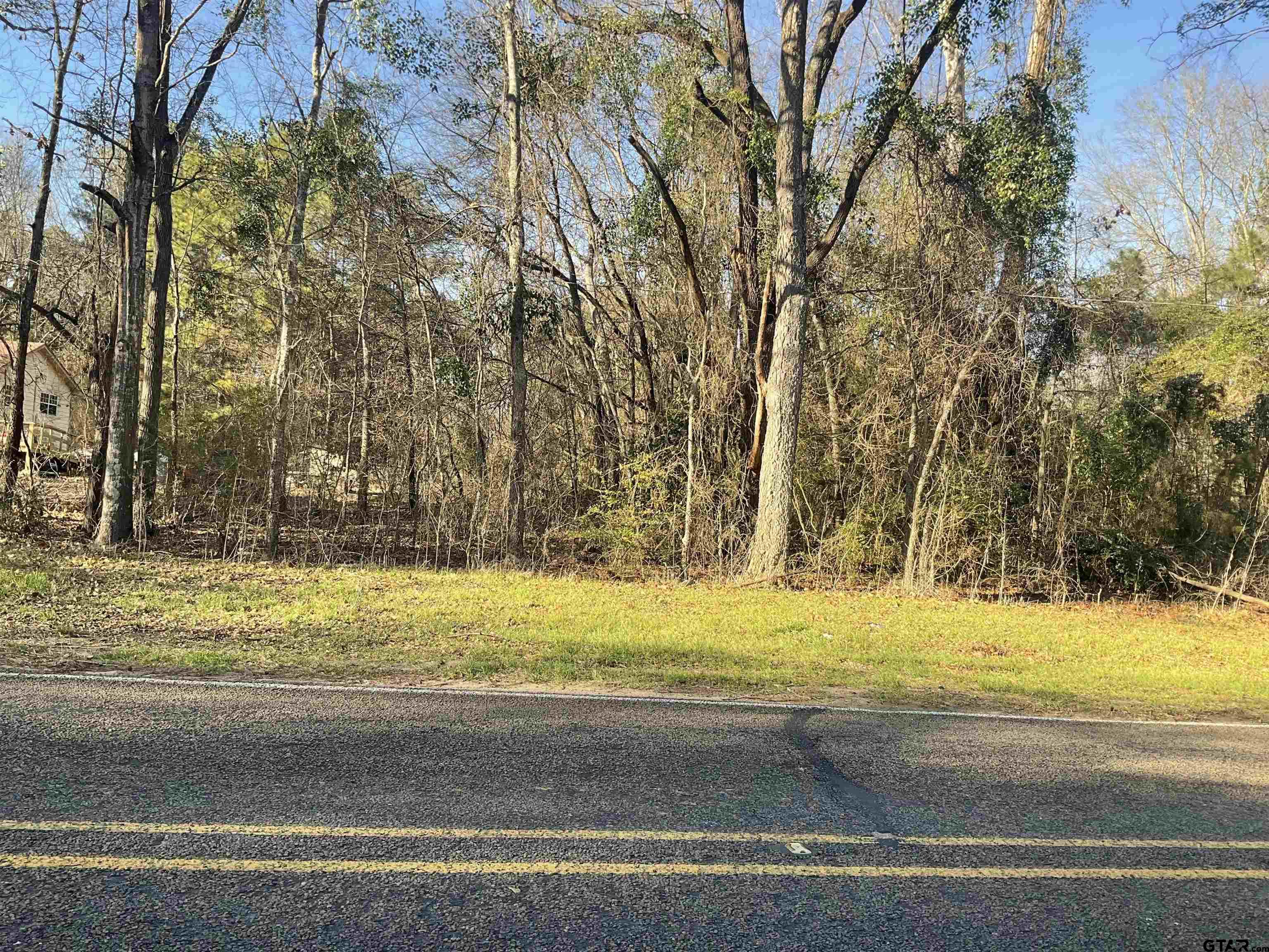 838 Fm Overton, TX 75684 - Photo 3 of 6