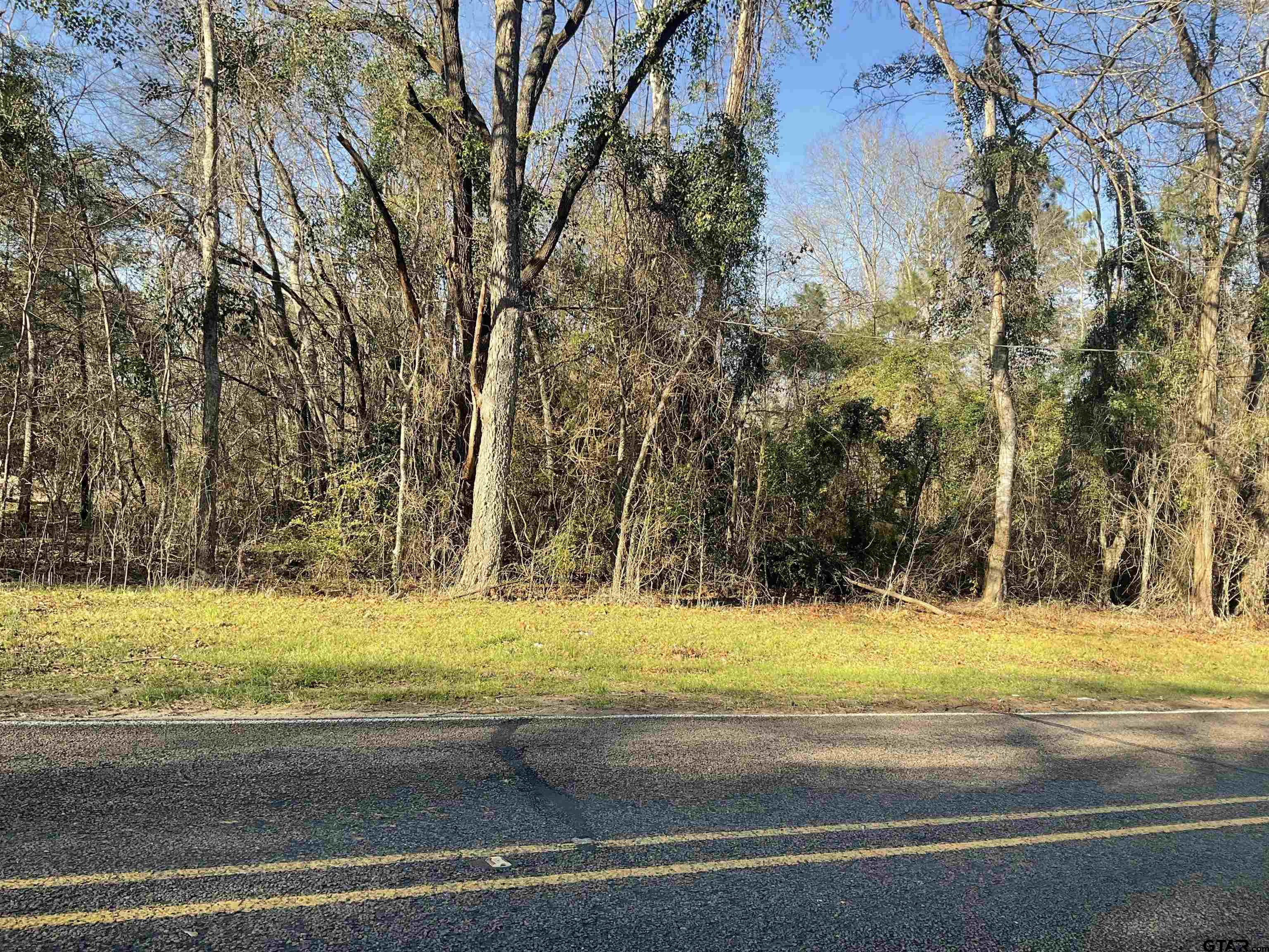 838 Fm Overton, TX 75684 - Photo 4 of 6