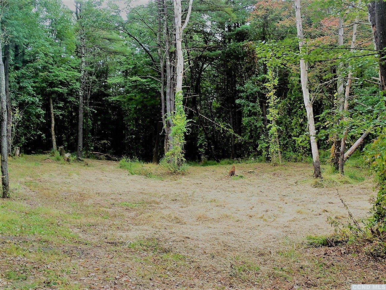 0 Buttermilk Falls Road Catskill, NY 12414 - Photo 4 of 10 a view of backyard with green space