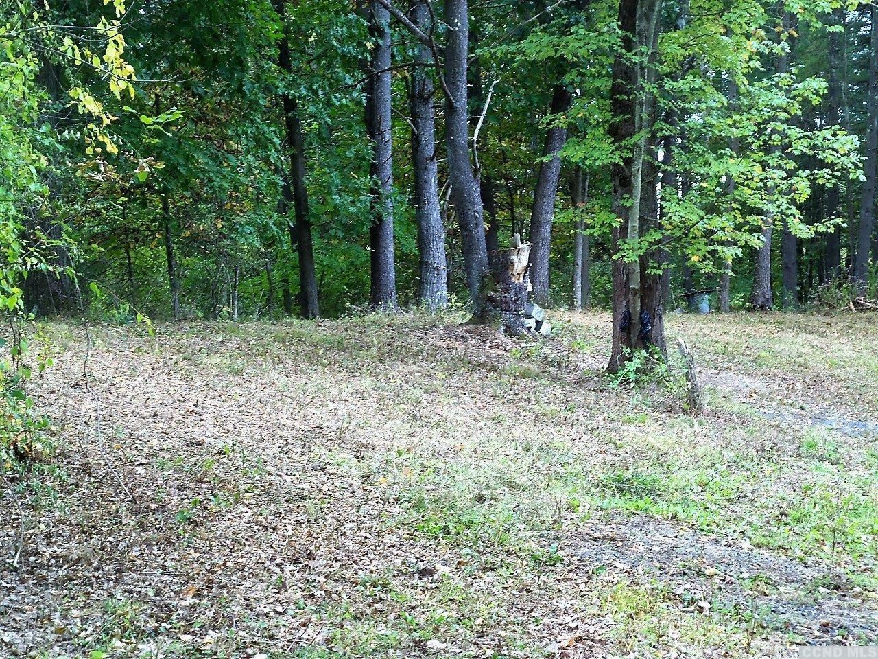 0 Buttermilk Falls Road Catskill, NY 12414 - Photo 5 of 10 a view of outdoor space with trees all around