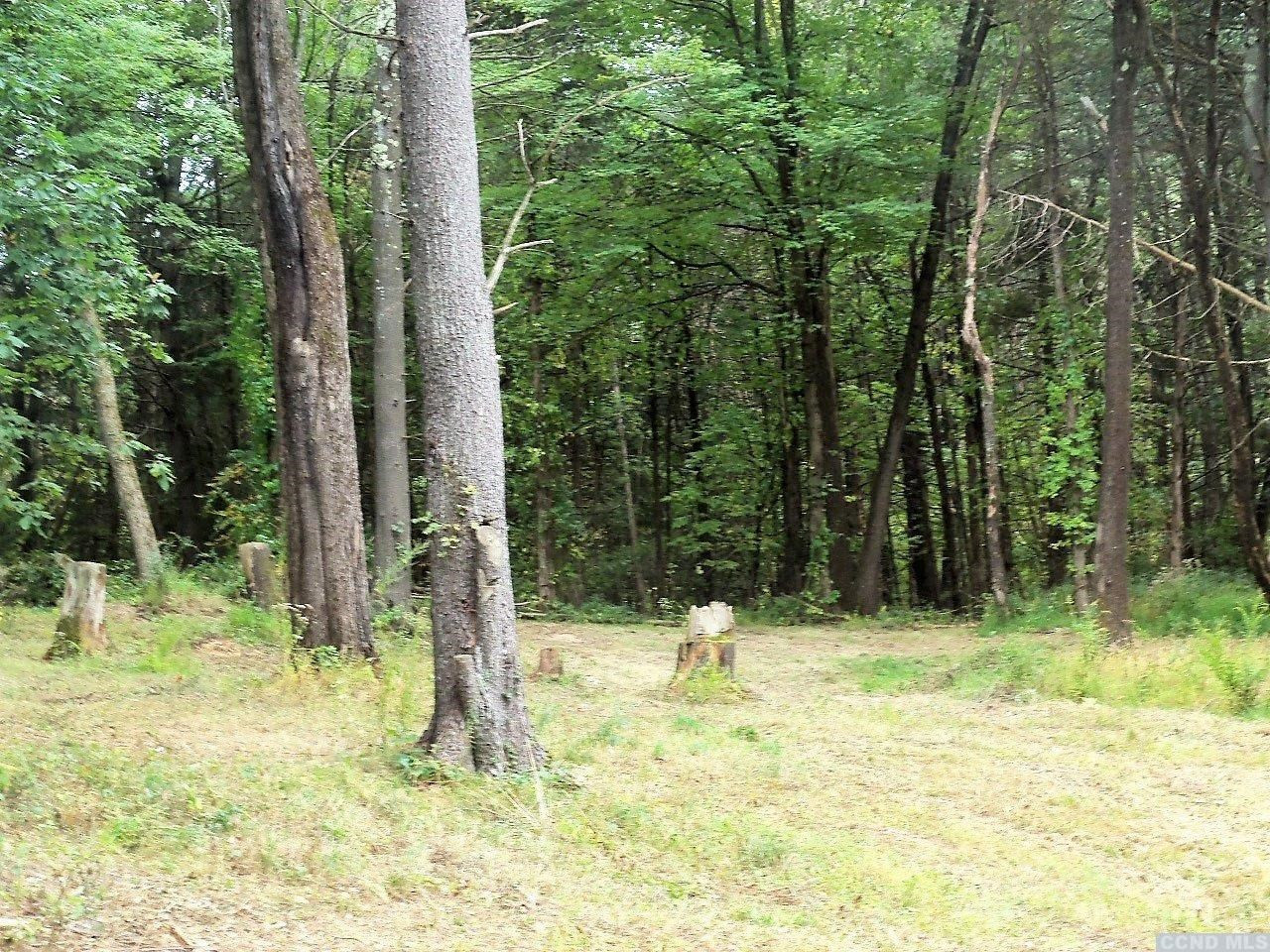 0 Buttermilk Falls Road Catskill, NY 12414 - Photo 6 of 10 a view of outdoor space with trees