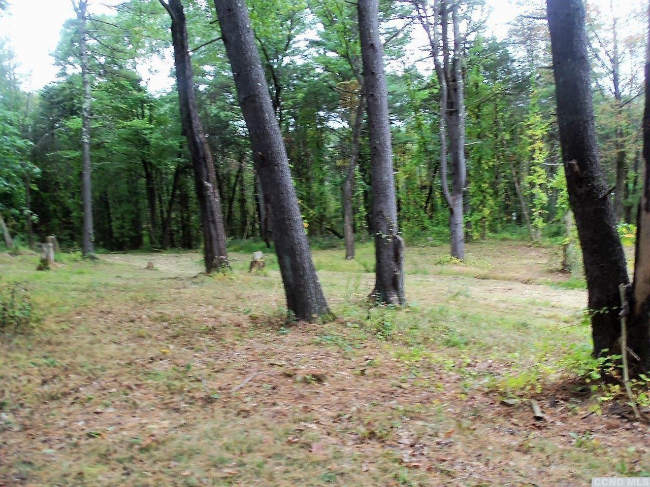 0 Buttermilk Falls Road Catskill, NY 12414 - Photo 8 of 10 a view of outdoor space with lots of trees