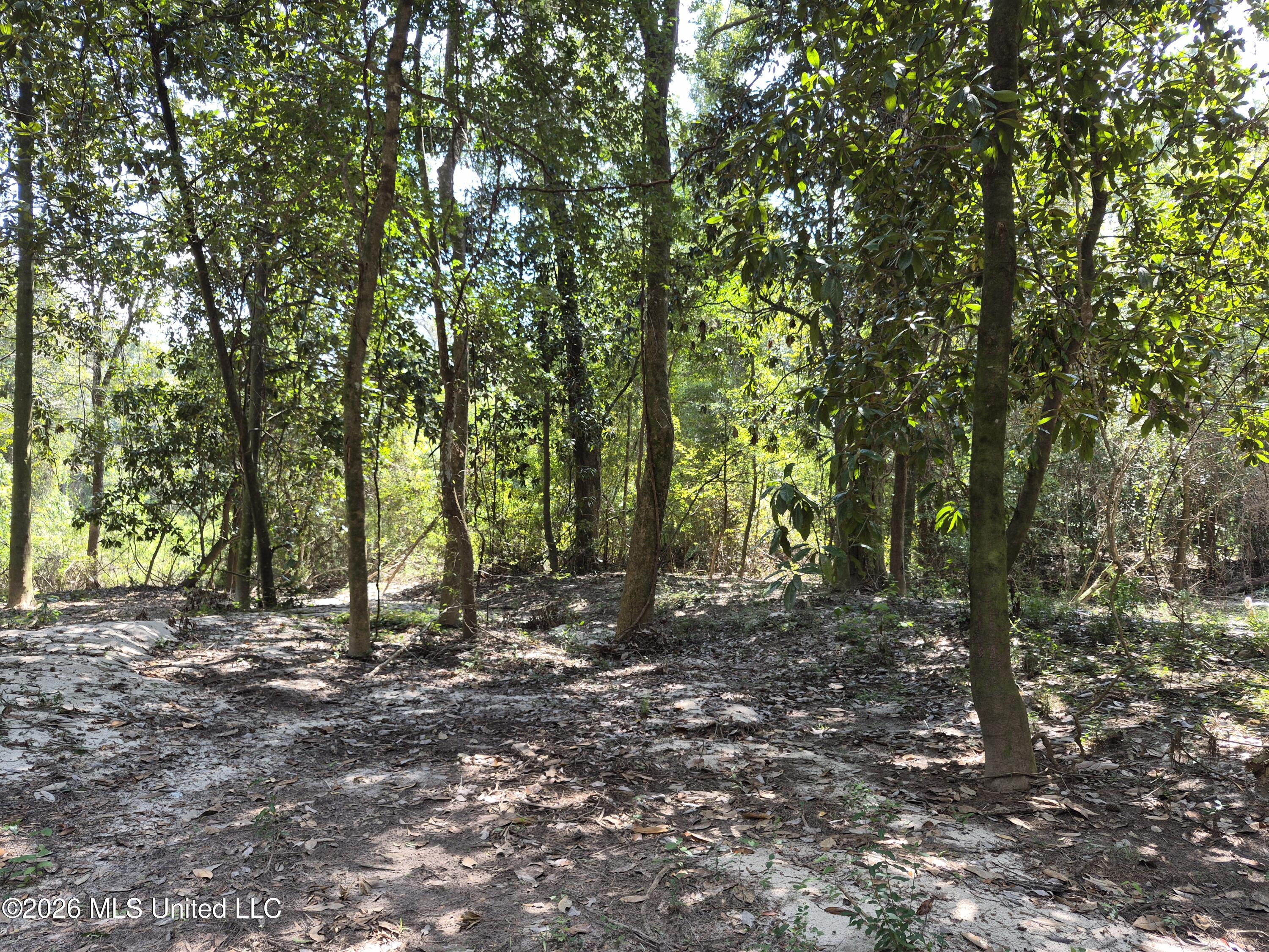 13756 River Road Gulfport, MS 39503 - Photo 79 of 93 Wooded West End