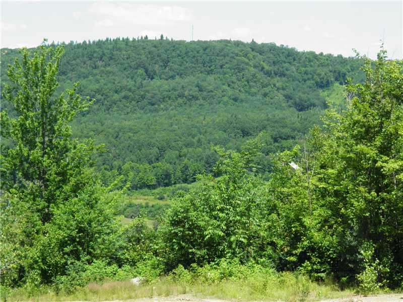1211 Rangeley Road Avon, ME 04966 - Photo 10 of 29 View. facing the Sandy River Valley....