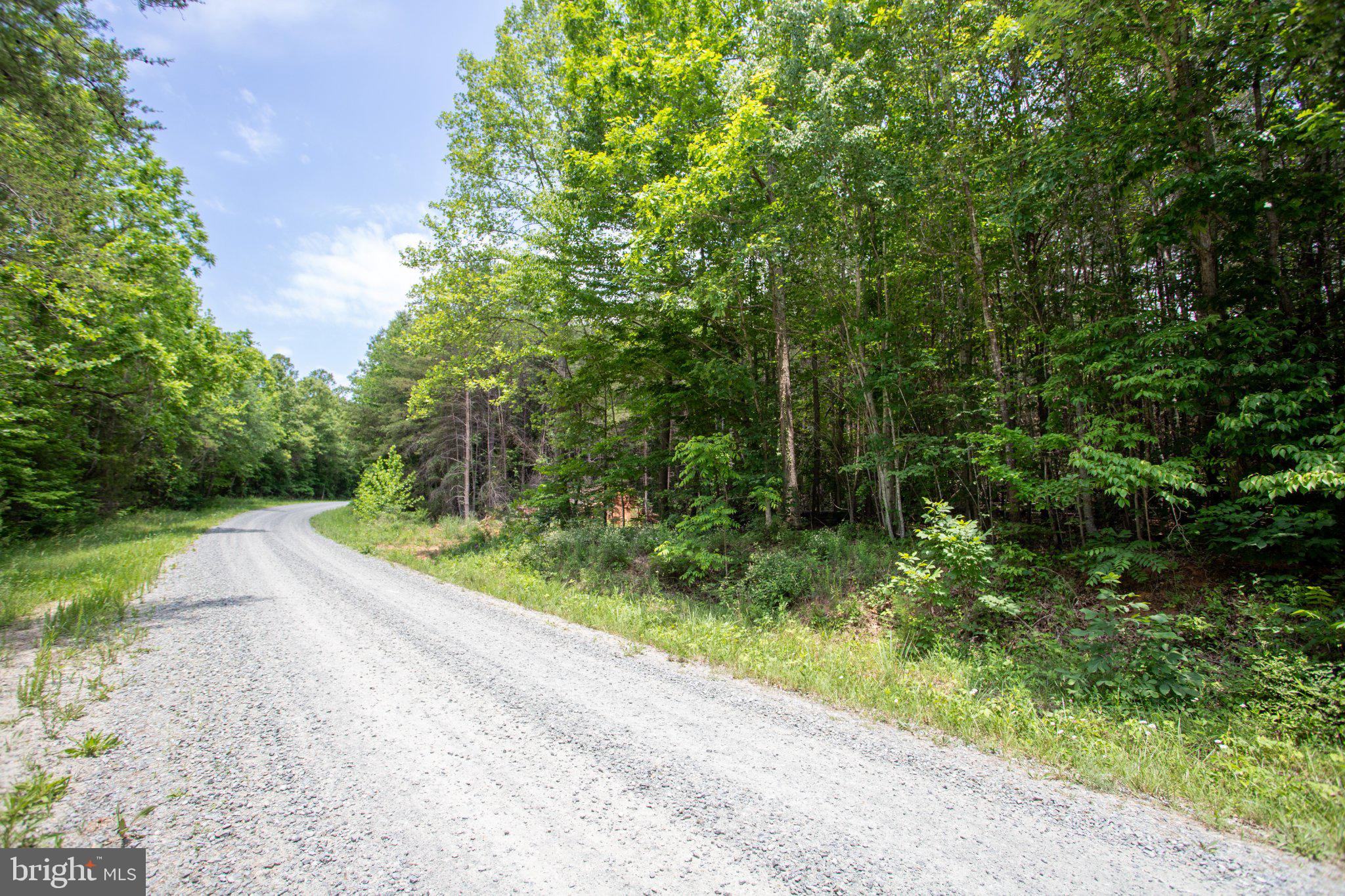 Tbd Brandon Road, Unit 4 Chatham, VA 24531 - Photo 2 of 31 Gallery Image 2