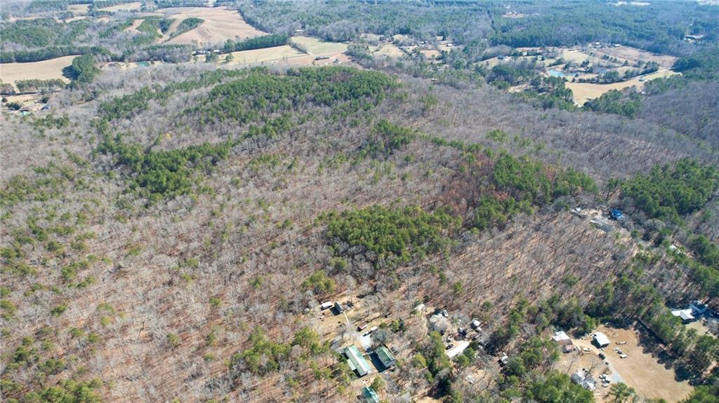 1 Bozeman Road Rydal, GA 30171 - Photo 11 of 29 a view of a dry yard with trees