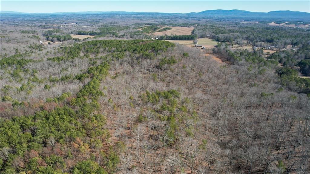 1 Bozeman Road Rydal, GA 30171 - Photo 13 of 29 a view of a forest with trees and mountain view