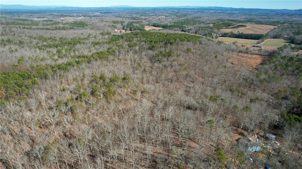 1 Bozeman Road Rydal, GA 30171 - Photo 14 of 29 an aerial view of residential houses with outdoor space and trees
