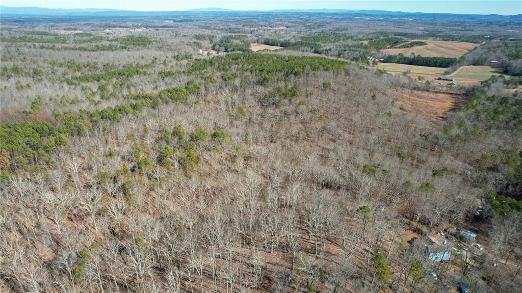 1 Bozeman Road Rydal, GA 30171 - Photo 15 of 29 an aerial view of forest