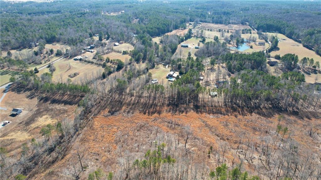 1 Bozeman Road Rydal, GA 30171 - Photo 23 of 29 a view of a yard with plants
