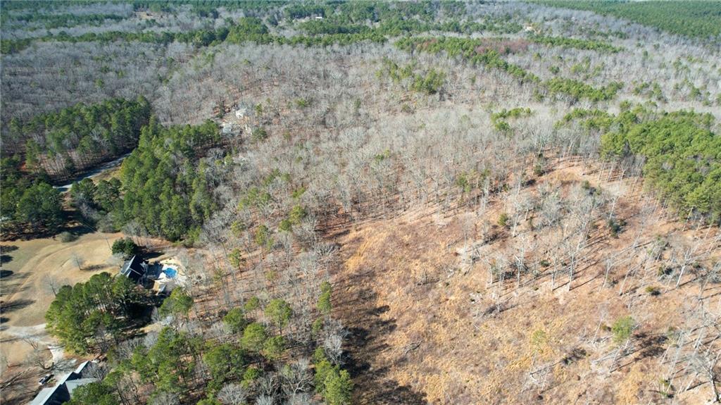 1 Bozeman Road Rydal, GA 30171 - Photo 25 of 29 a view of a forest with trees in the background