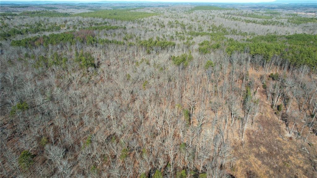 1 Bozeman Road Rydal, GA 30171 - Photo 28 of 29 a view of a lush green field