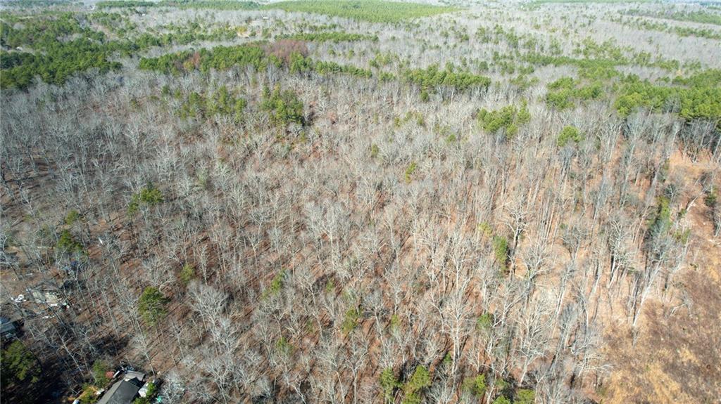 1 Bozeman Road Rydal, GA 30171 - Photo 29 of 29 a close up of a plant in a field