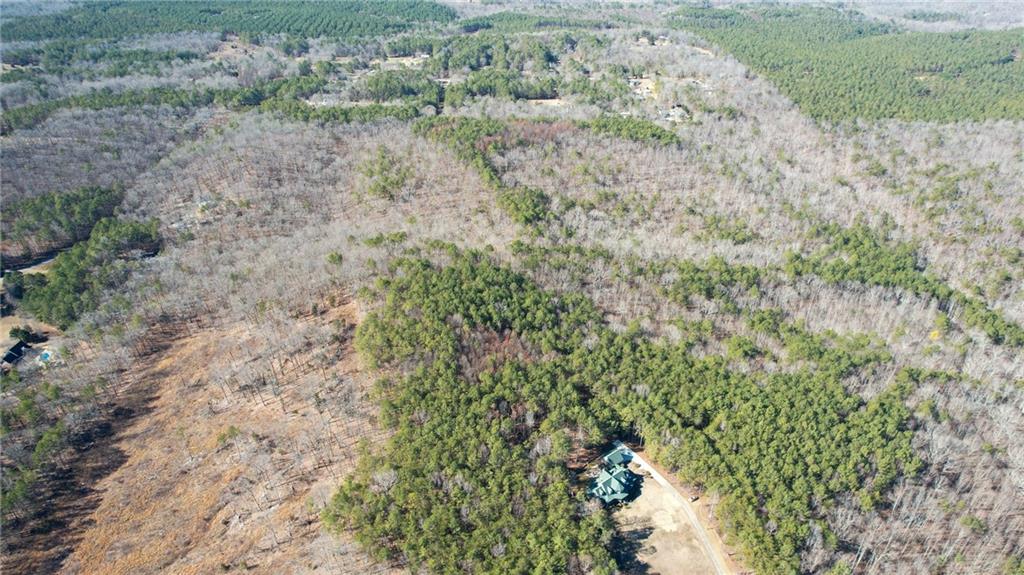 1 Bozeman Road Rydal, GA 30171 - Photo 5 of 29 a view of a forest with trees