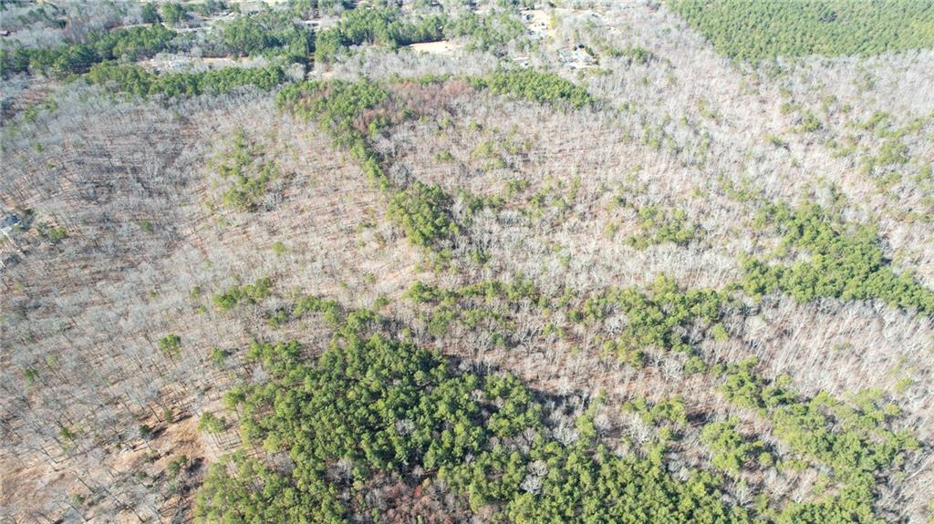 1 Bozeman Road Rydal, GA 30171 - Photo 7 of 29 a view of a forest with a tree